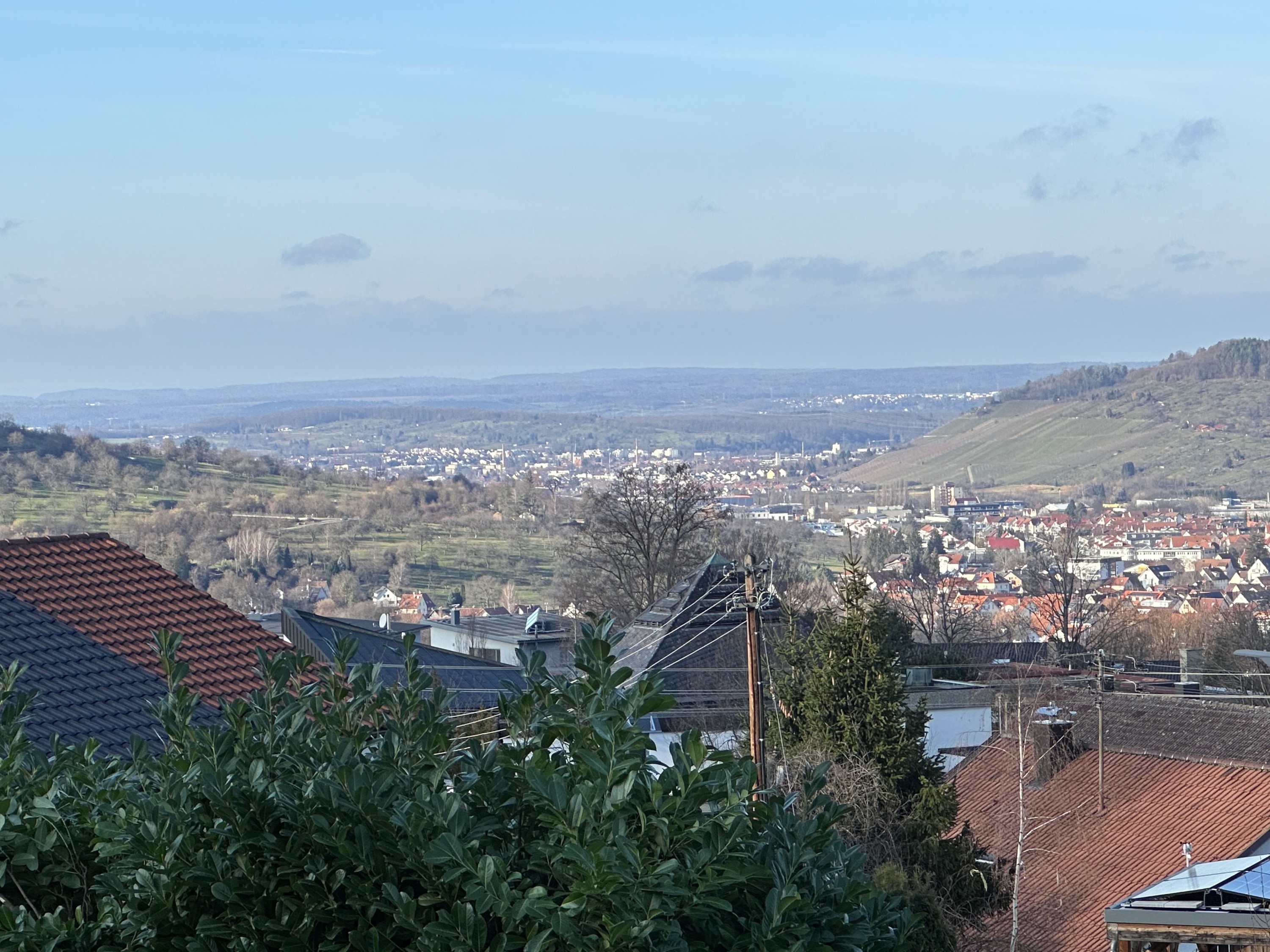 Kleiner Ausflug auf die Buchhalde