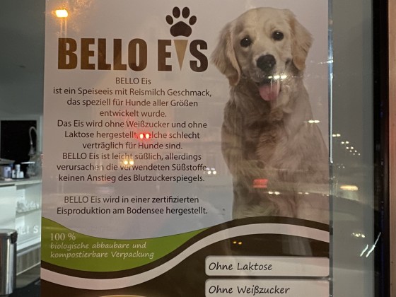 Ladengeschäfte: Gelateria Tre hat Eis für Hunde