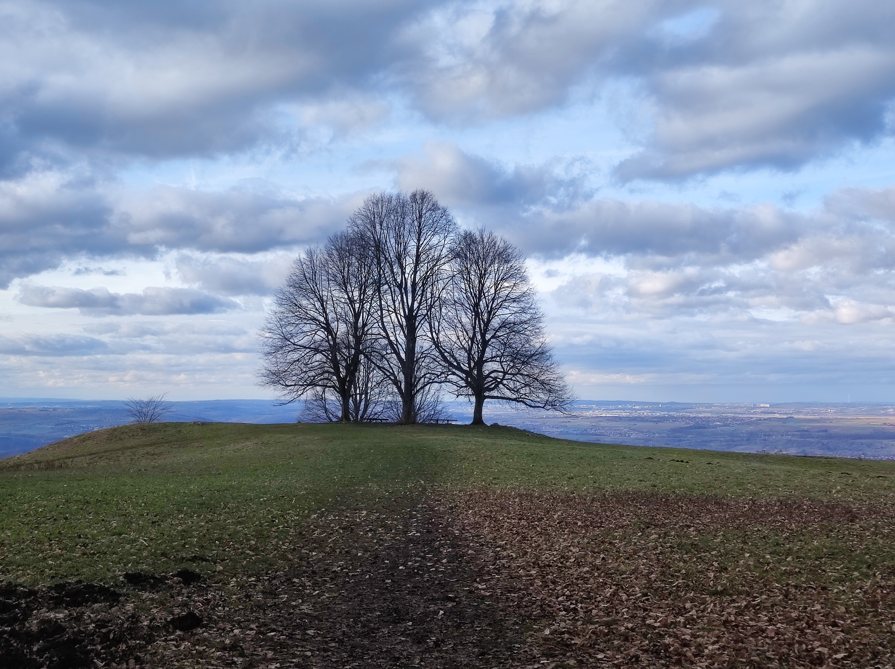 Ausflug auf den Jusi. Er liegt bei 673m Höhe. Man kann von Dettingen aus super hoch laufen und hat bei klarem Wetter eine tolle Aussicht  nach Kohlberg und Burg Hohen Neuffen